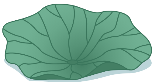 Lá sen, lá, leaf, Hoa sen, hoa, flower, lotus