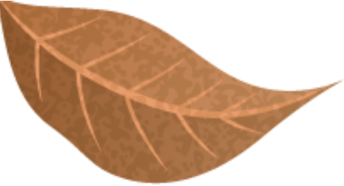 Lá, cành cây, leaves, branches, màu nước, watercolor