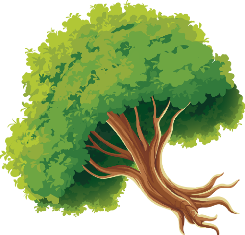 Cây đa, cây, cây xanh, tree, đa, trung thu