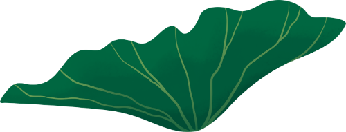 Sen, lotus, lá, leaf, trung thu, mid-autumn festival