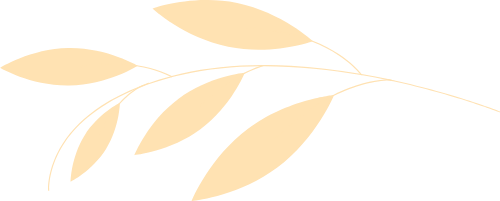 Hoa, flower, lá, leaf, hoa lá, watercolor, màu nước, gradient 1