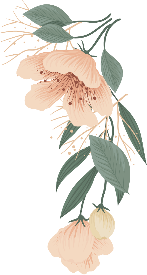 Hoa, flower, lá, leaf, hoa lá, watercolor, màu nước, gradient 1