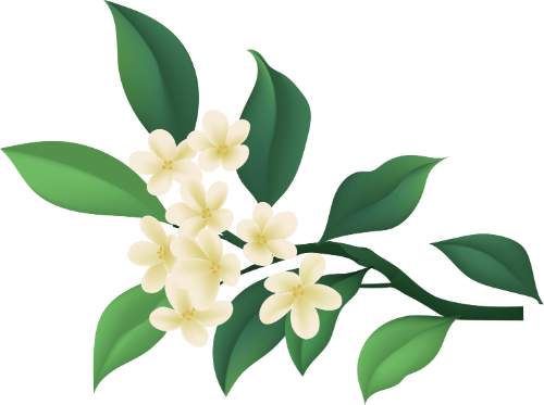 Hoa, flower, lá, leaf, lá cây, cành cây, nhành cây