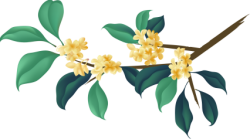 Hoa, flower, lá, leaf, lá cây, cành cây, nhành cây