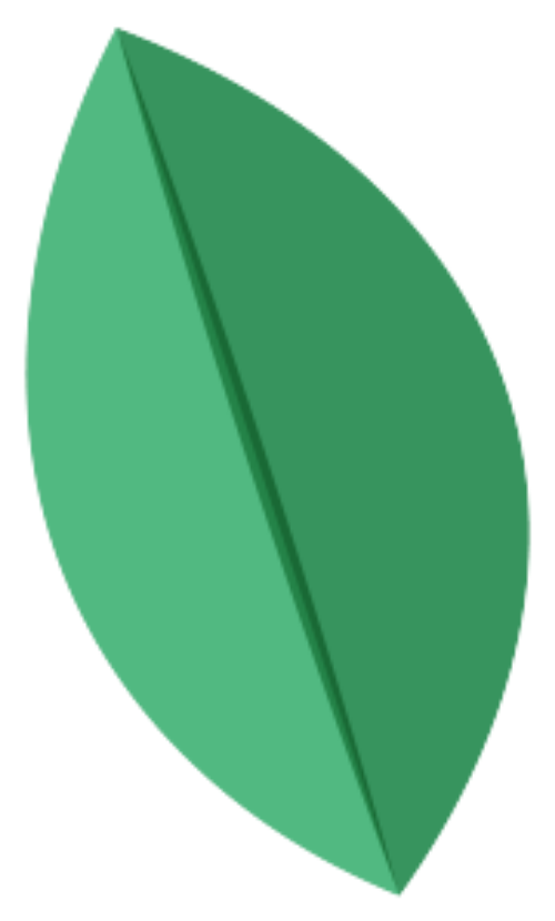 Lá, leaves, lá cây 3