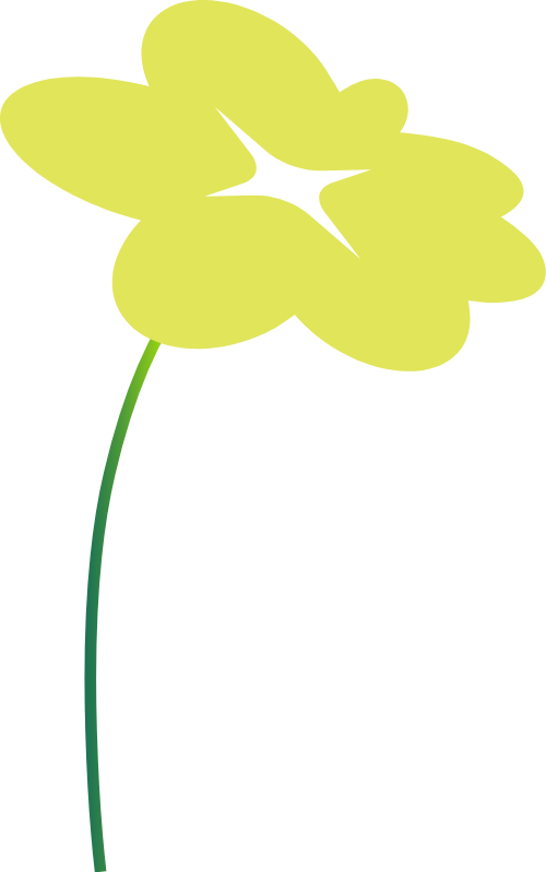 Hoa, flower 2