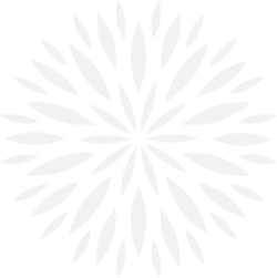 Pháo hoa, pháo, firework, shape, trừu tượng, abstract