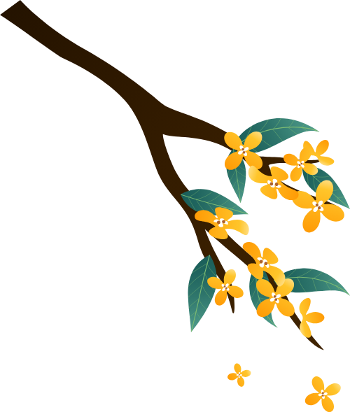 Hoa, hoa mai, flower, gradient