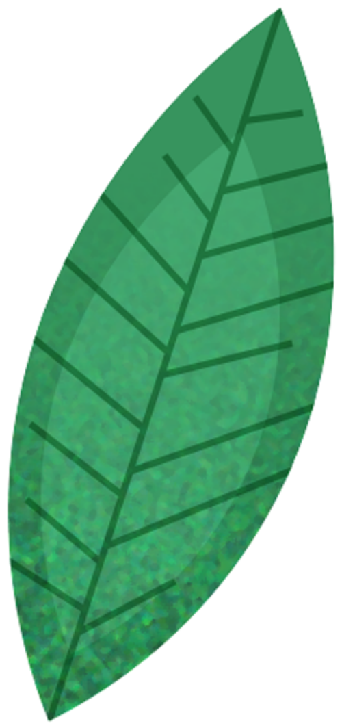 Lá, leaves, lá cây 2