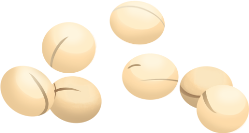 Hạt, đậu,  seeds, beans, trung thu, mid-autumn festival 2