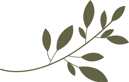 Lá, lá cây, leaf, lá xanh, cây xanh 1