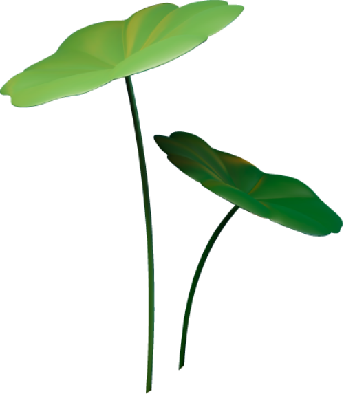 Lá sen, sen, lá, lotus leaf, lotus, leaf, 3D