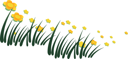Hoa, flower, bụi cỏ, bãi cỏ, grass, lawn