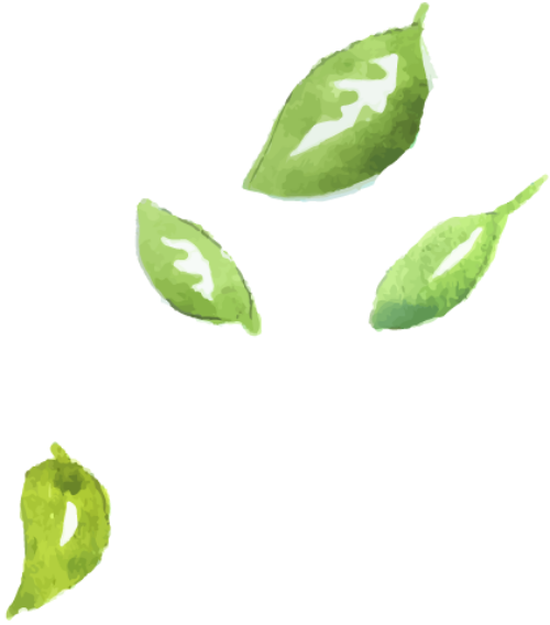 Lá, lá cây, leaf, flower, watercolor, màu nước