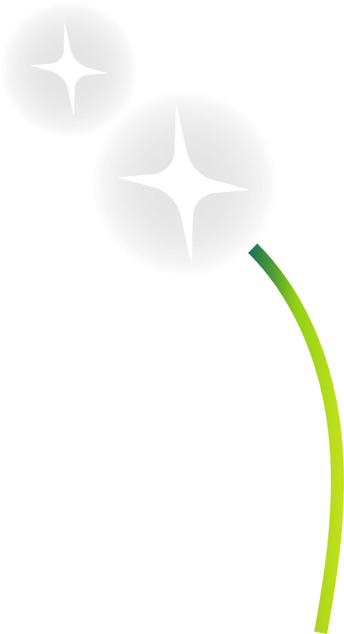 Hoa, flower 1