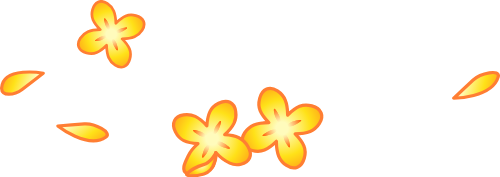 Hoa, hoa mai, flower, hoa vàng, yellow