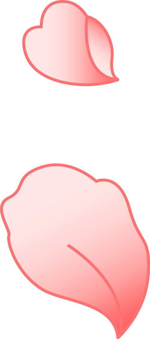 Cánh hoa, hoa, flower, hoa hồng, gradient