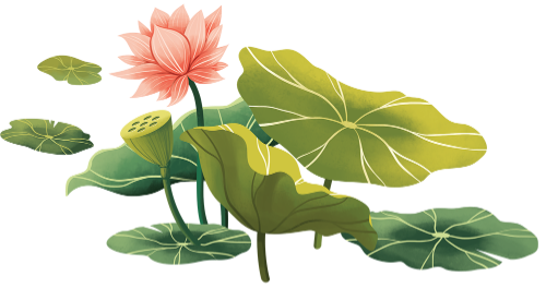 Hoa sen, sen, lotus, hoa, flower, lá sen, lá, leaf
