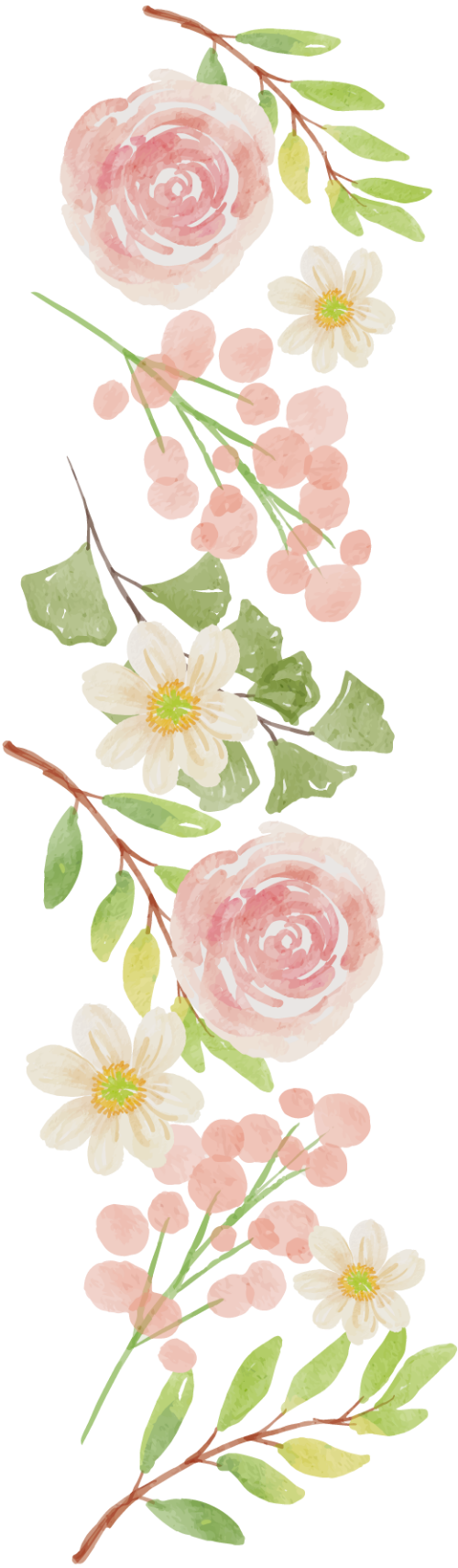 Hoa, hoa lá, flower, màu nước, water color