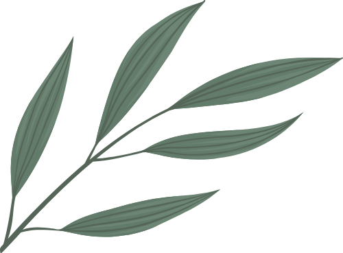 Hoa, flower, lá, leaf, hoa lá, watercolor, màu nước, gradient 5