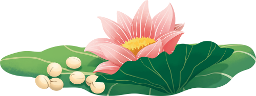 Sen, lotus, trung thu, mid-autumn festival