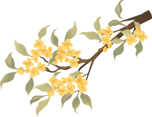 Hoa, flower, lá, leaf, lá cây, cành cây, nhành cây