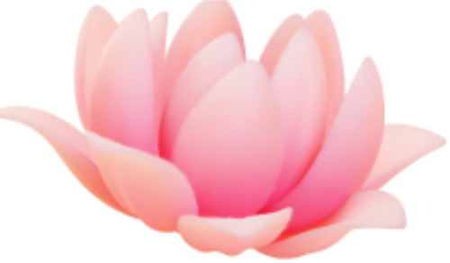 Sen, hoa sen, hoa, lotus, flowers, 3D