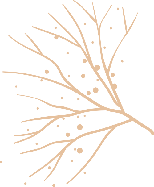Hoa, flower, lá, leaf, hoa lá, watercolor, màu nước, gradient 4