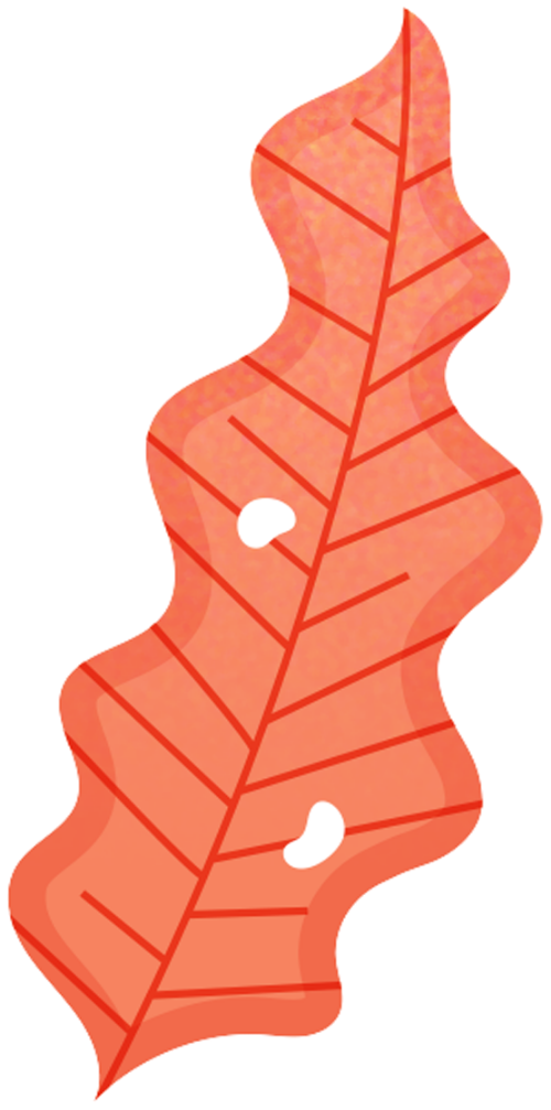 Lá, leaves, lá cây
