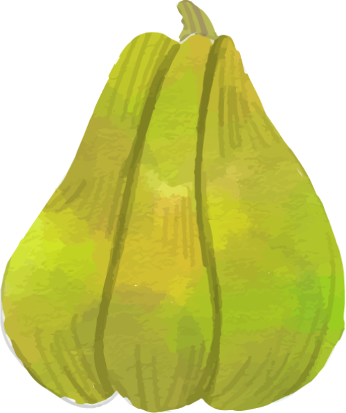 Trái lê, trái cây, fruit, watercolor