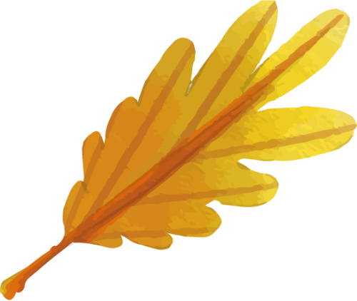 Lá, lá cây, leaf, leave, thiên nhiên, natural, watercolor