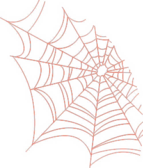 Tơ nhện, nhện, con nhện, spider, động vật, animal, halloween