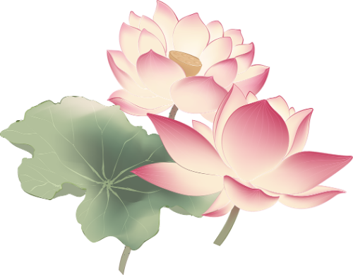 Sen, hoa, màu loang, lotus, flowers, gradient 1
