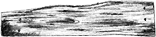Gỗ, tấm gỗ, wood, shape, hình dạng