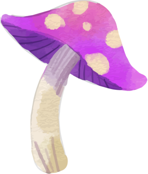 Nấm, cây nấm, mushroom, watercolor 5