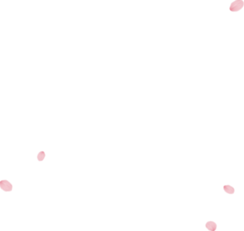 Hoa, hoa hồng, hoa lá, flower, rose, rose flower, leaf, lá cây, cánh hoa 5