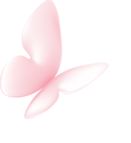 Bướm,  butterfly