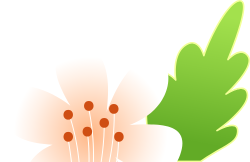 Hoa, flower, hoa lá, gradient