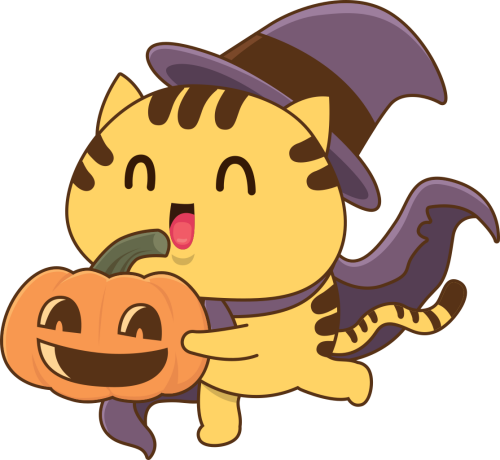 Mèo, con mèo, cat, Bí đỏ, bí, trái bí, bí ngô, pumpkin, halloween, horrible, cute, dễ thương 5