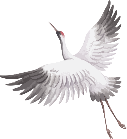 Cò, chim, màu nước, storks, birds, watercolors