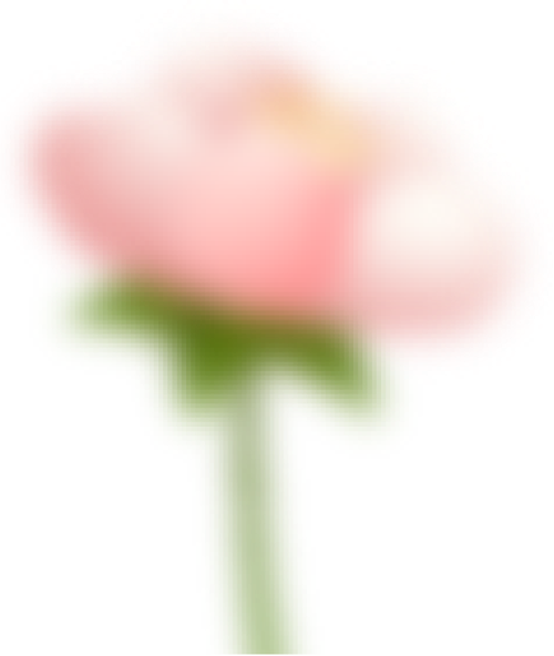 Hoa lá, hoa, flower, lá, leaf, gradient, gradient mesh 4