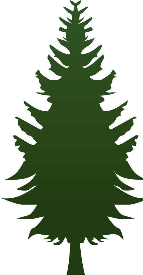 Cây, cây thông, pine, tree, shape, halloween 2
