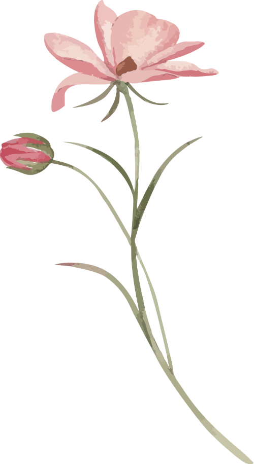 Hoa, flower, màu nước, watercolors