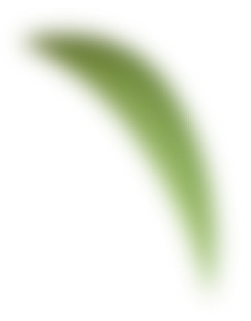 Hoa lá, hoa, flower, lá, leaf, gradient, gradient mesh 5