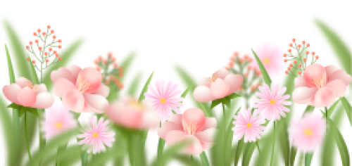 Hoa lá, hoa, flower, lá, leaf, gradient, gradient mesh