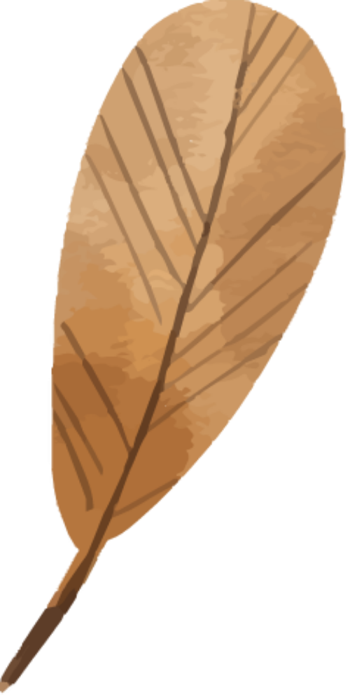Lá, lá cây, leaf, leave, thiên nhiên, natural, watercolor 5