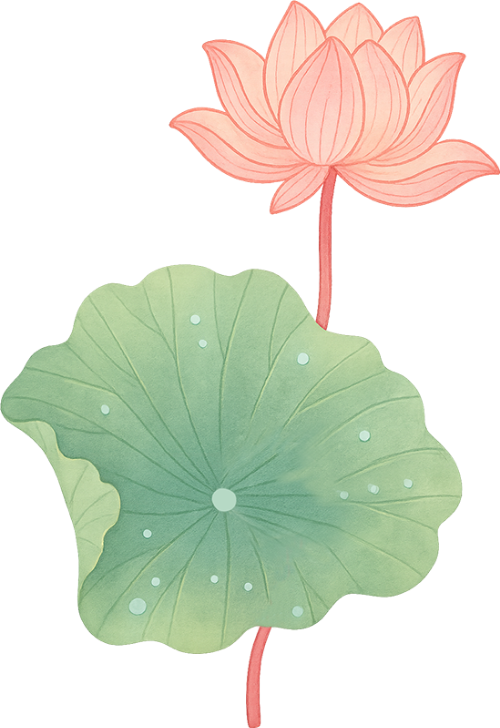 Sen, hoa sen, lotus, hoa, flower 3