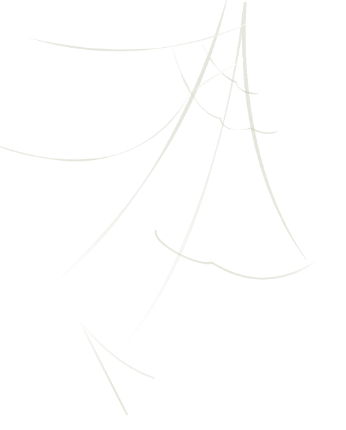 Nhện, tơ nhện, spider, spider silk, mạng nhện, , halloween 4