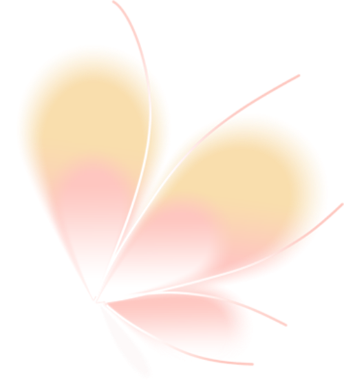 Bướm,  butterfly, gradient