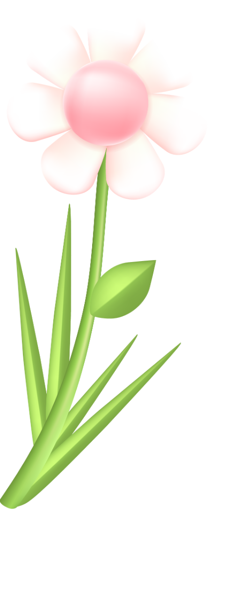 Hoa, hoa cúc, chrysanthemum, daisy, flower, lá, leaves